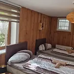 Seeblick Nr 1 ,feldberg Baerental 费尔德伯格
