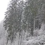 公寓 Seeblick Nr 1 ,feldberg Baerental *