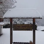 Seeblick Nr 1 ,feldberg Baerental 公寓 费尔德伯格