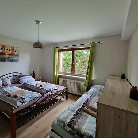 公寓 Seeblick Nr 1 ,feldberg Baerental 费尔德伯格