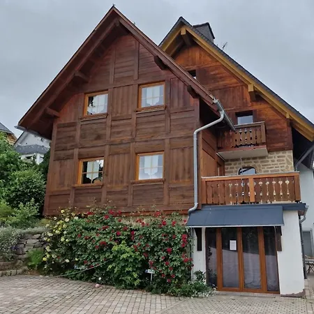 Seeblick Nr 1 ,feldberg Baerental Apartment Rotwasser