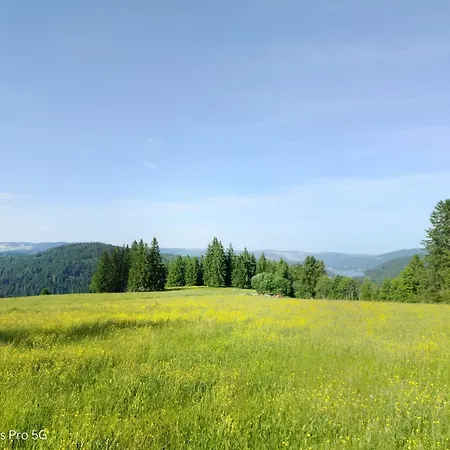 Seeblick Nr 1 ,feldberg Baerental