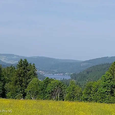 Seeblick Nr 1 ,feldberg Baerental Appartement *