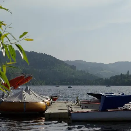 Διαμέρισμα Seeblick Nr 1 ,feldberg Baerental
