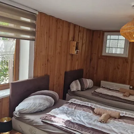 Seeblick Nr 1 ,feldberg Baerental Rotwasser