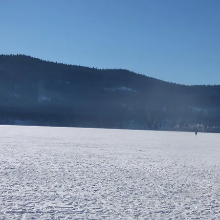 Διαμέρισμα Seeblick Nr 1 ,feldberg Baerental