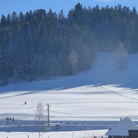 Seeblick Nr 1 ,feldberg Baerental *