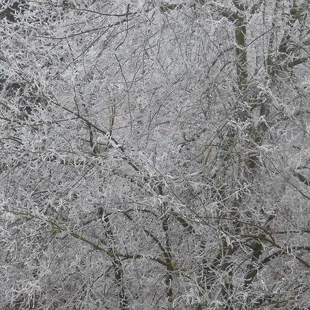 Lejlighed Seeblick Nr 1 ,feldberg Baerental Feldberg (Baden-Wurttemberg)