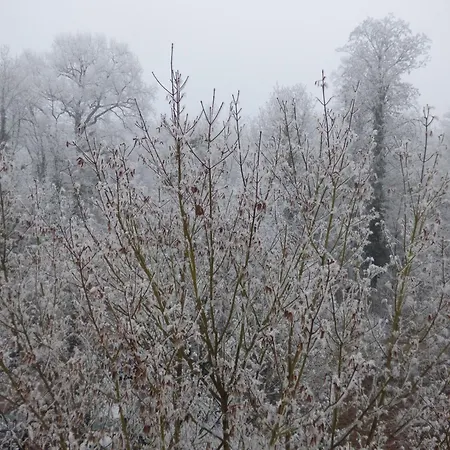 아파트 Seeblick Nr 1 ,feldberg Baerental *