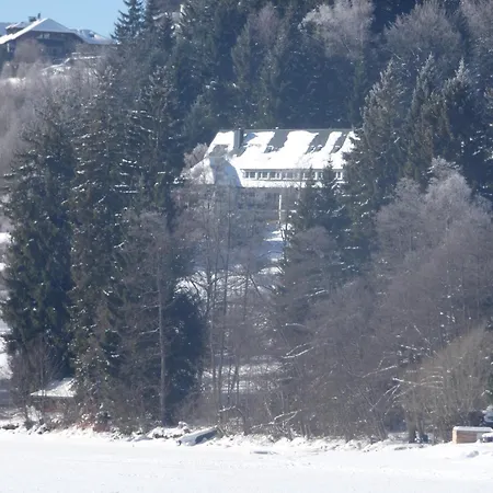 Seeblick Nr 1 ,feldberg Baerental * 费尔德伯格