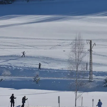 Seeblick Nr 1 ,feldberg Baerental Lejlighed *