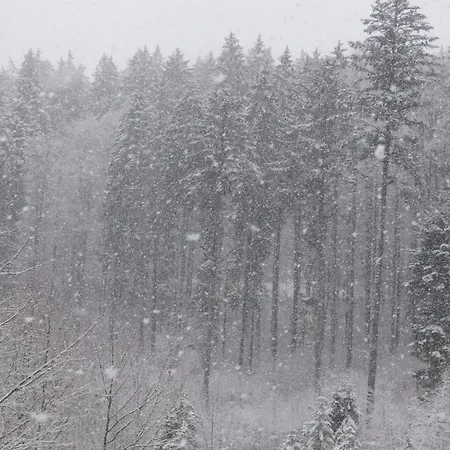 Seeblick Nr 1 ,feldberg Baerental * Rotwasser