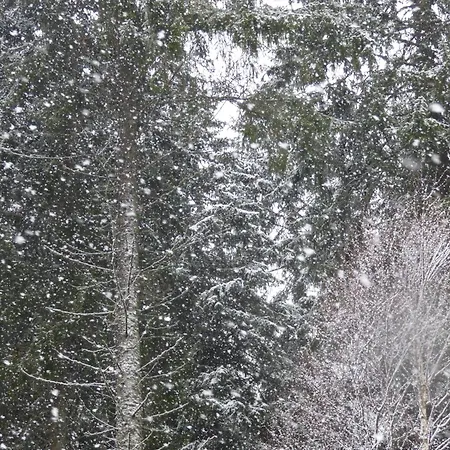 Seeblick Nr 1 ,feldberg Baerental Appartamento