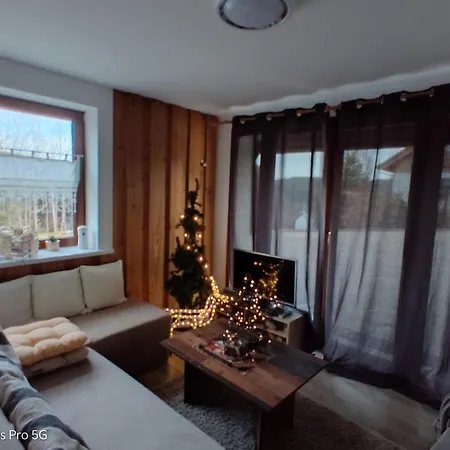 Seeblick Nr 1 ,feldberg Baerental