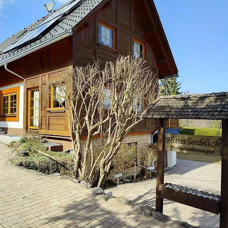 Seeblick Nr 1 ,feldberg Baerental 费尔德伯格